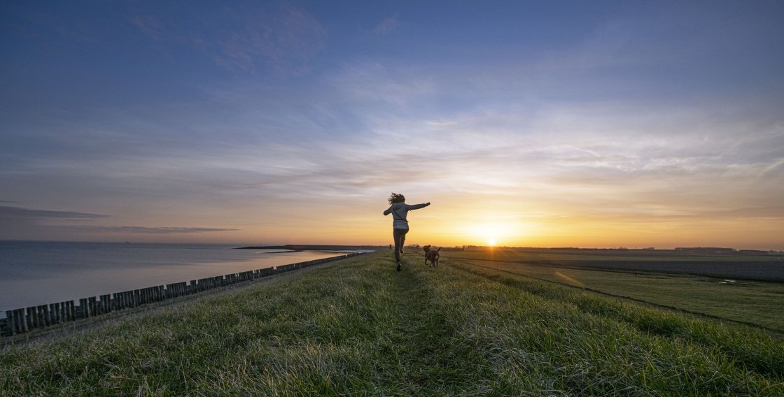 ZS-brede-welvaart-zeeland.jpg