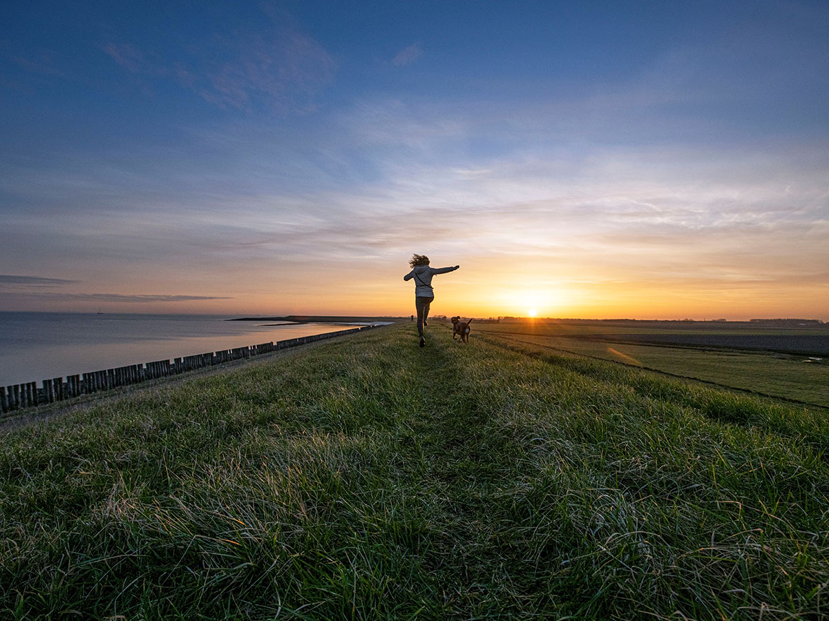 Brede welvaart in Zeeland