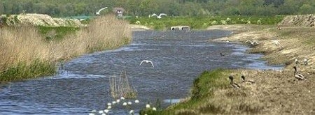 Aanleg Natuurvriendelijke Oevers.jpg