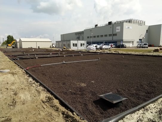 Wetland construction finished