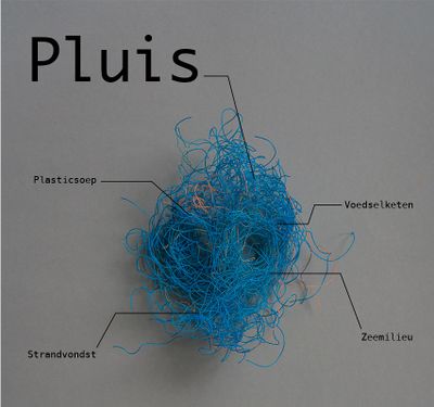 Pluis.jpg