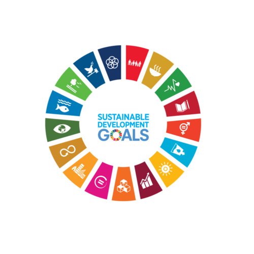 SDG-logo.png